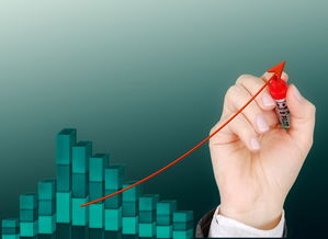 乐鱼app-中小学体育活动管理优化策略,如何加强中小学体育教学质量的管理