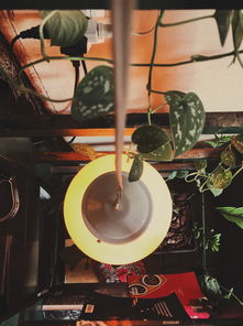 leyu.com-全球影像聚焦广州,一场视觉盛宴来袭,广州视觉联动